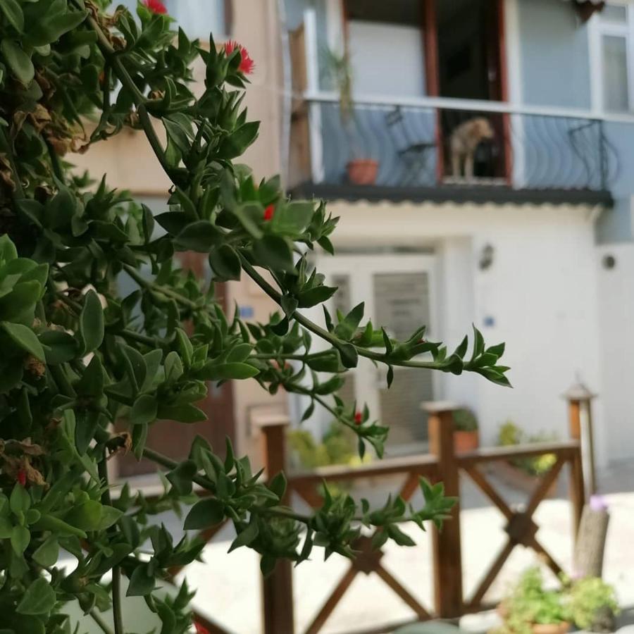 Hotel Mudanya Exterior photo